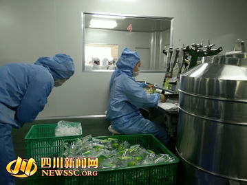 蓉城探秘 化妝品開(kāi)放日引領(lǐng)市民走進(jìn)本土制造之美